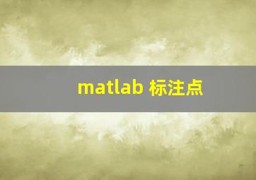 matlab 标注点